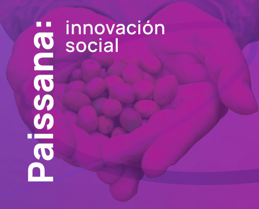 03-Paissana- Tech Day