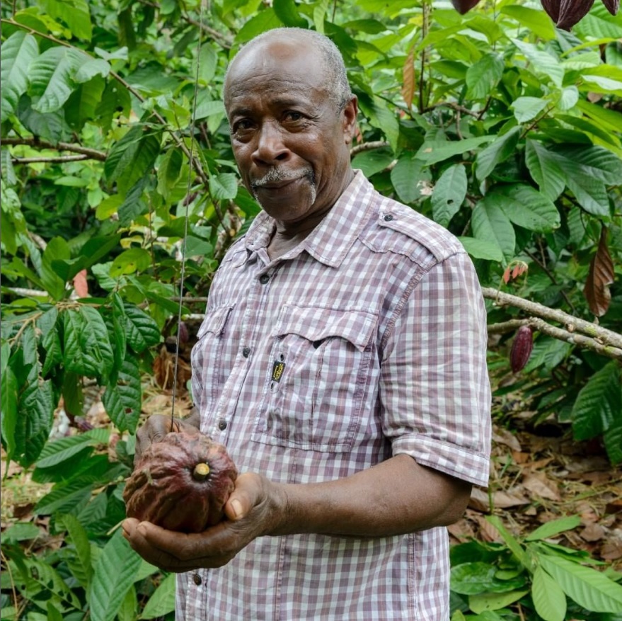 Cacao-hunters